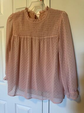 Blush Pink Swiss Dot Smocked Yoke Long-Sleeve Blouse